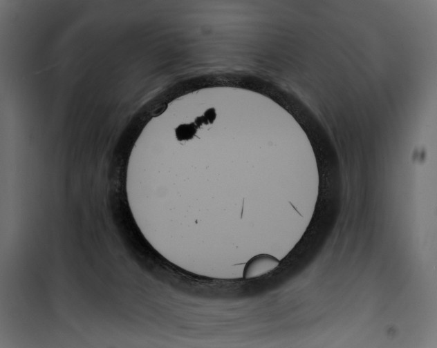 X0000099970032200806201412