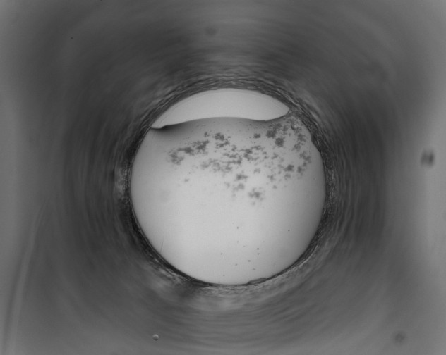 X0000099970033200806201412