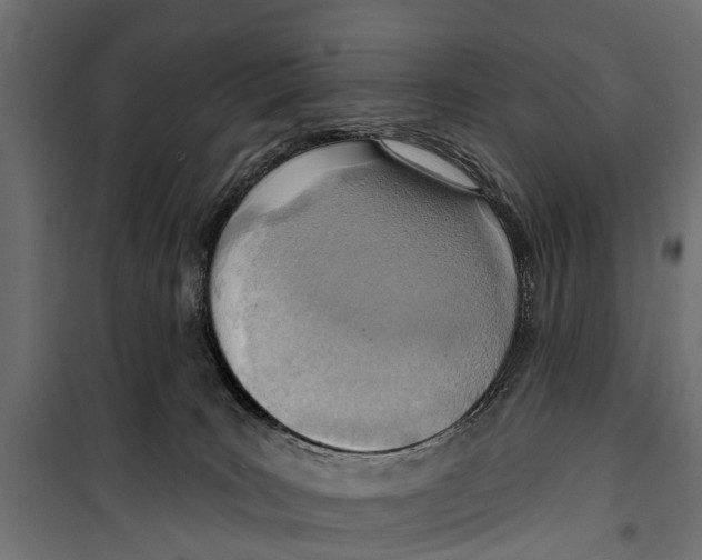 X0000099970035200806201412