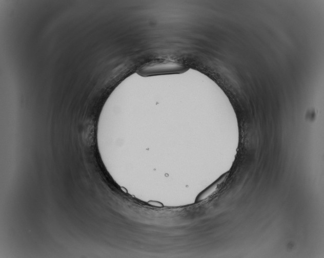 X0000099970036200806201412