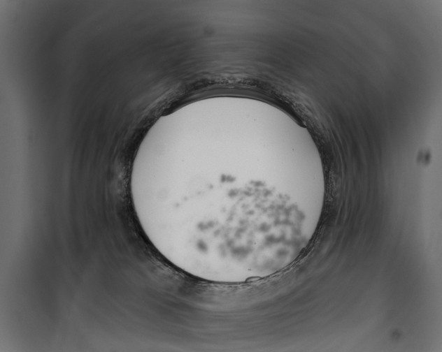 X0000099970037200806201412