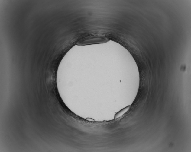 X0000099970040200806201412