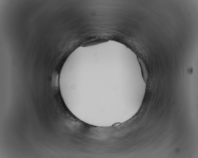 X0000099970041200806201412