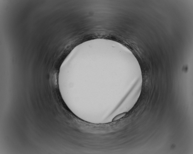 X0000099970042200806201412