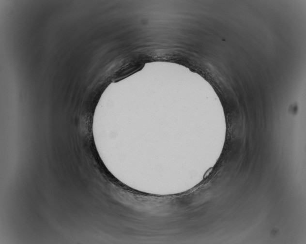 X0000099970044200806201412