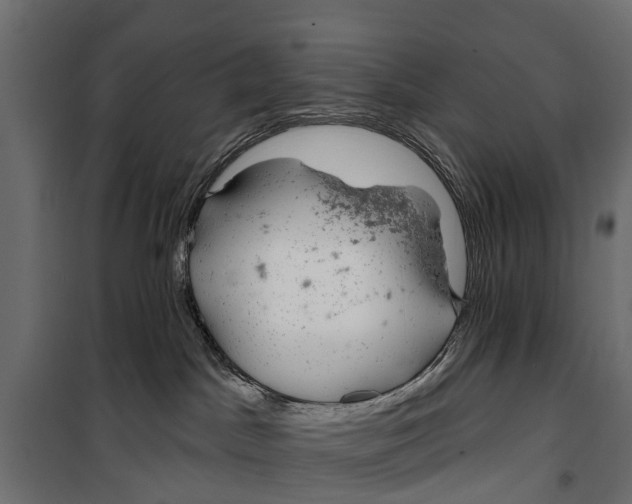 X0000099970045200806201412