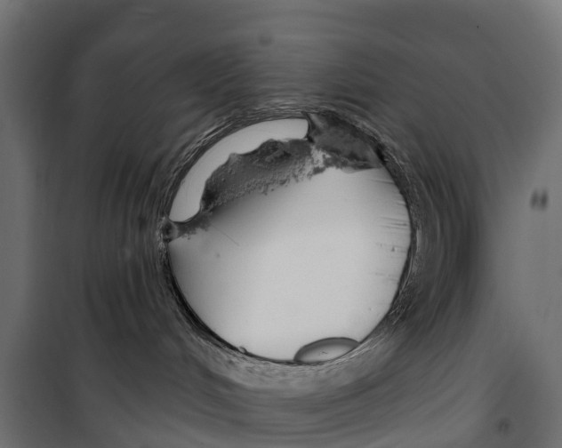 X0000099970048200806201412