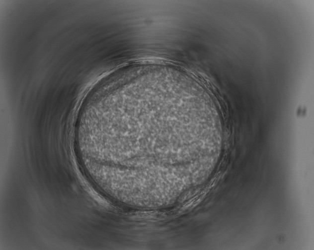 X0000099970049200806201411