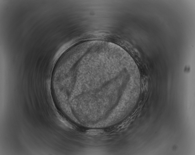 X0000099970051200806201411