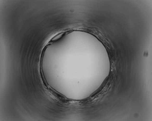 X0000099970052200806201411