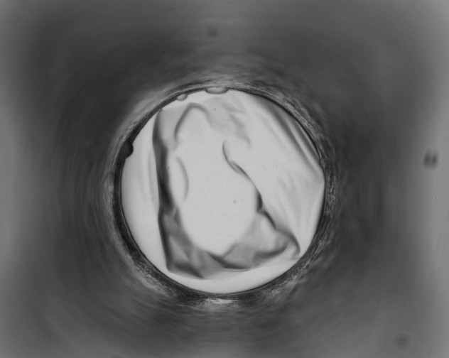 X0000099970055200806201411