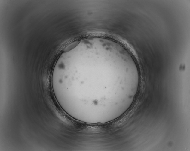 X0000099970057200806201411