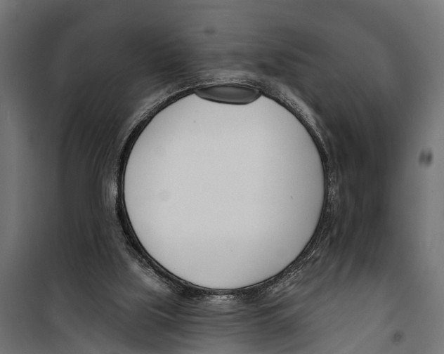 X0000099970059200806201411