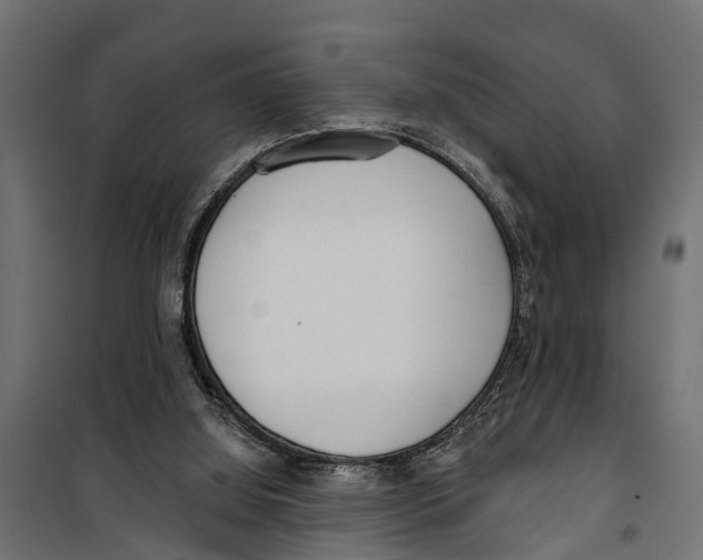 X0000099970060200806201411