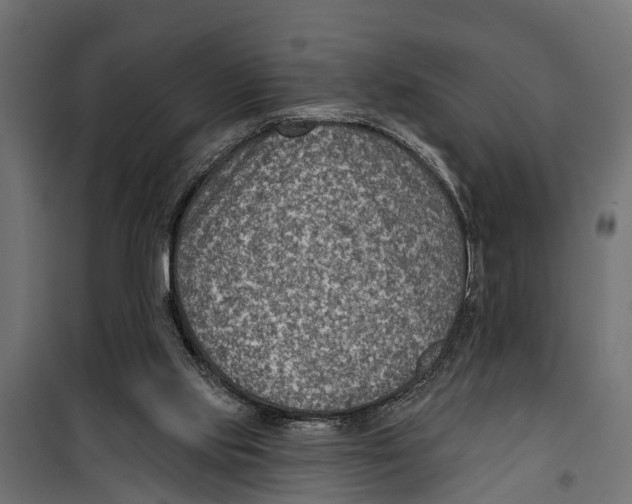 X0000099970061200806201411