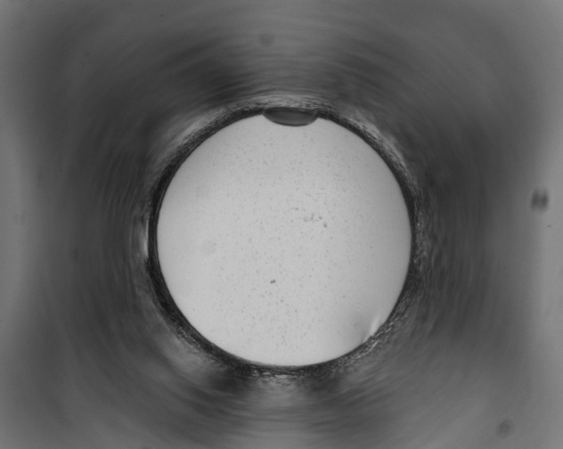 X0000099970062200806201411