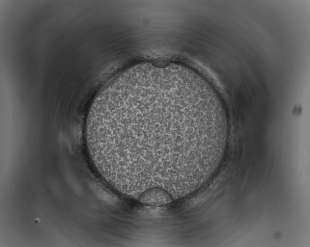 X0000099970065200806201411