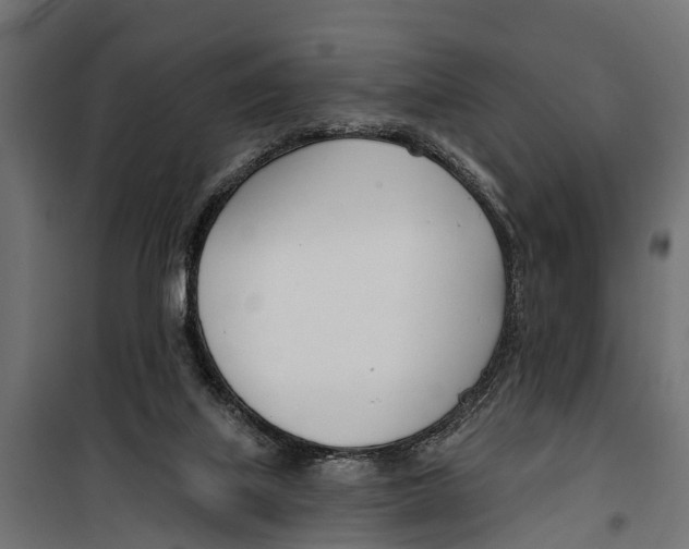 X0000099970067200806201411