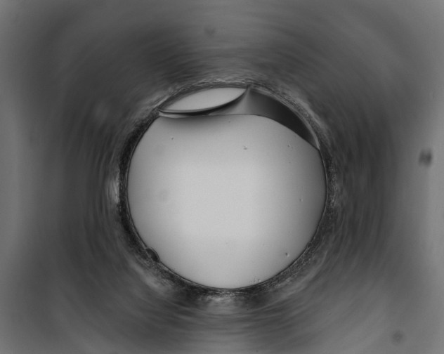 X0000099970068200806201411