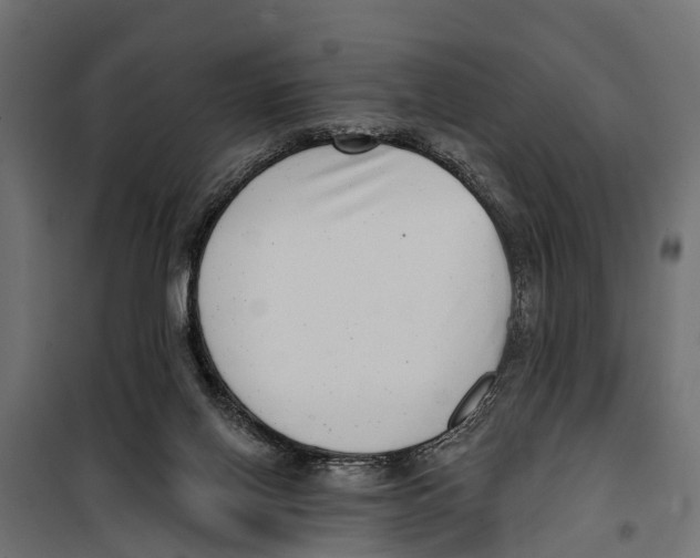 X0000099970070200806201411