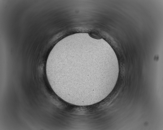 X0000099970071200806201412