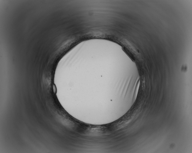 X0000099970072200806201412