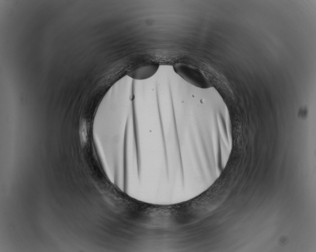 X0000099970075200806201412