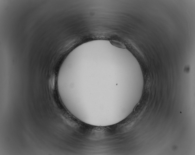 X0000099970076200806201412