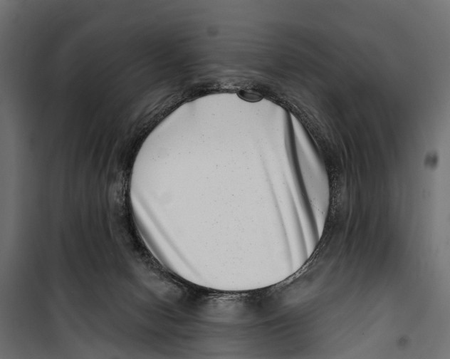 X0000099970078200806201412