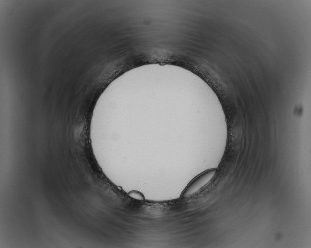 X0000099970079200806201412