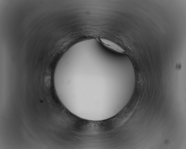 X0000099970080200806201412