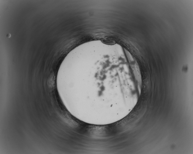 X0000099970081200806201412