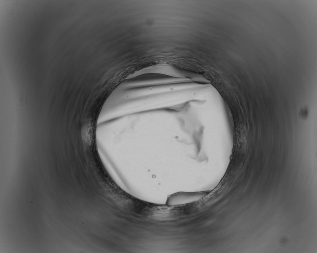 X0000099970090200806201412