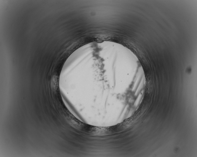 X0000099970093200806201412