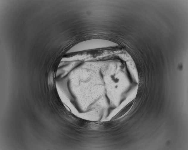 X0000099970094200806201412