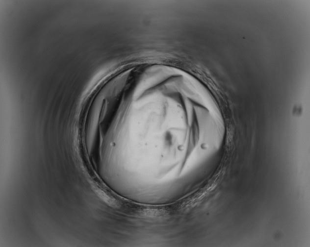 X0000099970101200806201411