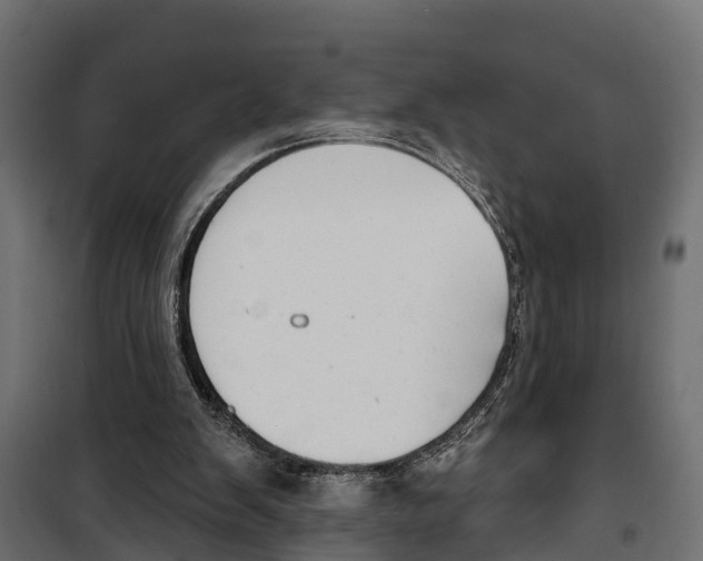 X0000099970103200806201411