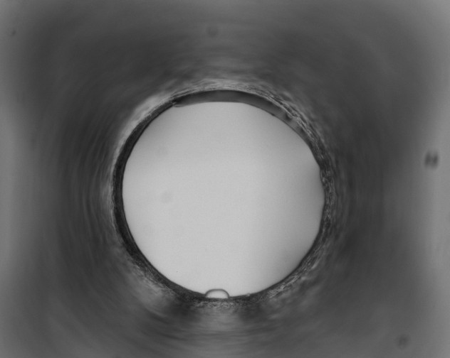 X0000099970104200806201411