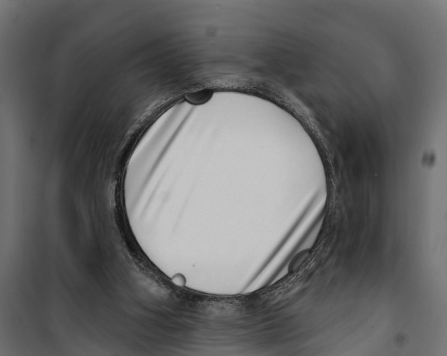 X0000099970106200806201411