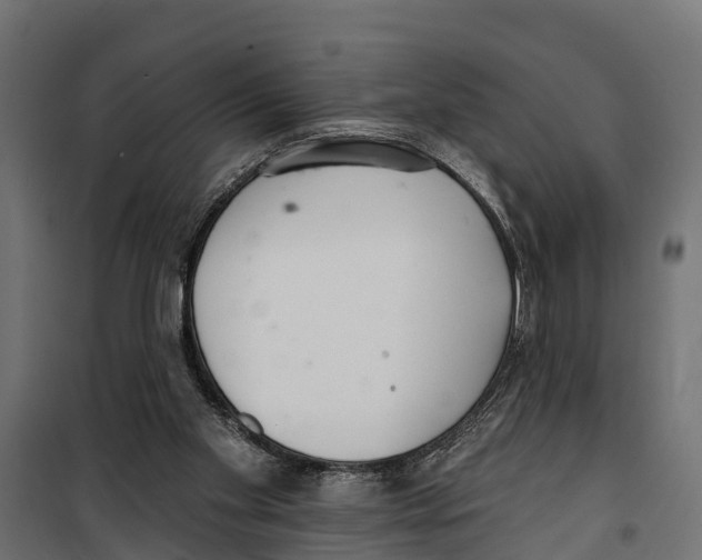 X0000099970109200806201411