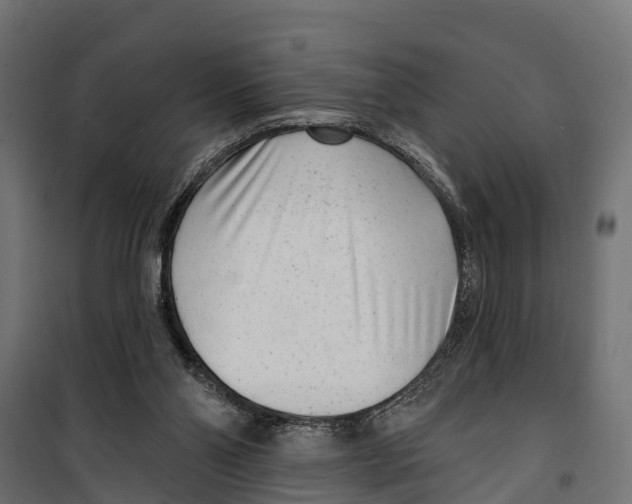 X0000099970110200806201411