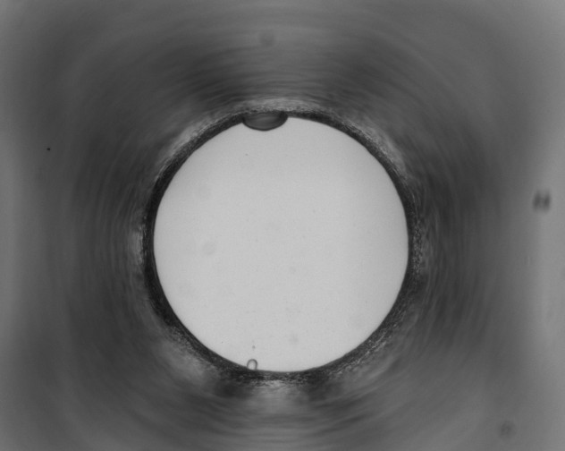 X0000099970111200806201411