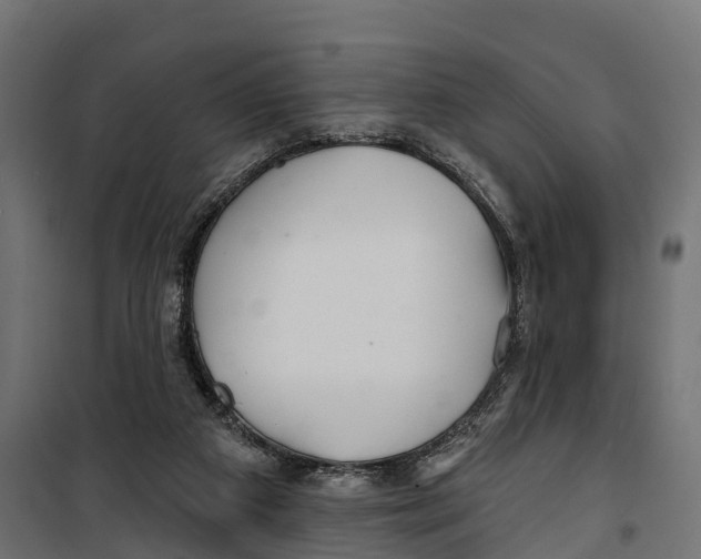 X0000099970113200806201411