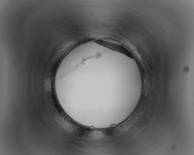 X0000099970114200806201411