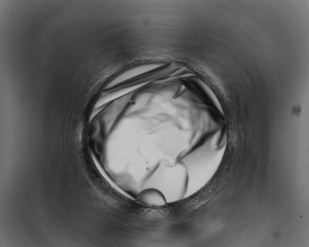 X0000099970115200806201411