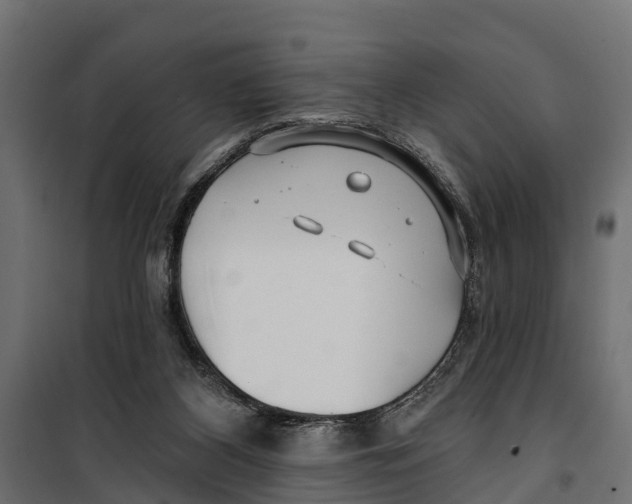 X0000099970116200806201411