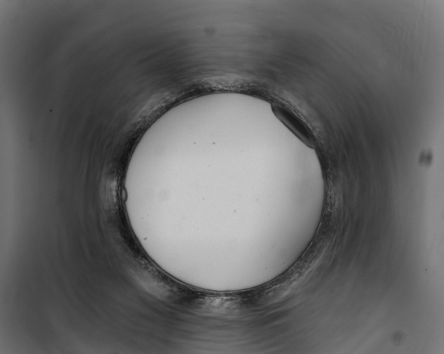 X0000099970117200806201411