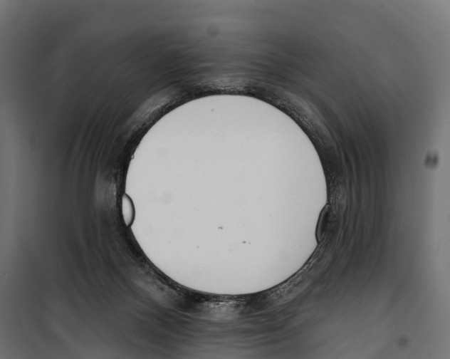 X0000099970120200806201411