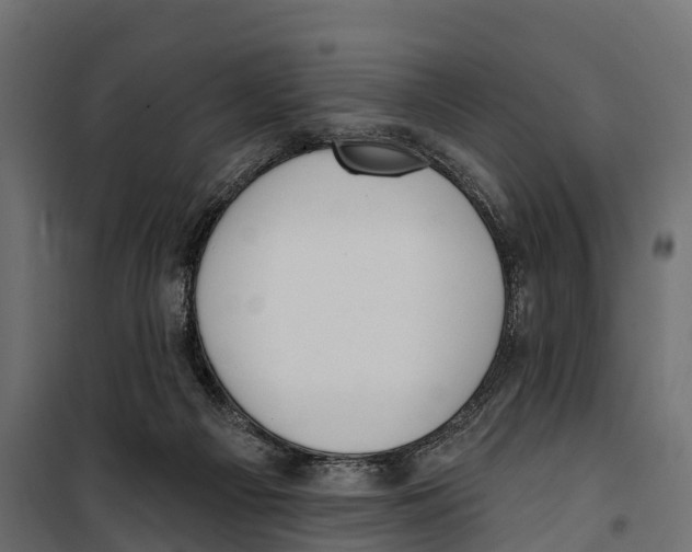 X0000099970121200806201411