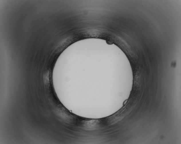 X0000099970122200806201411